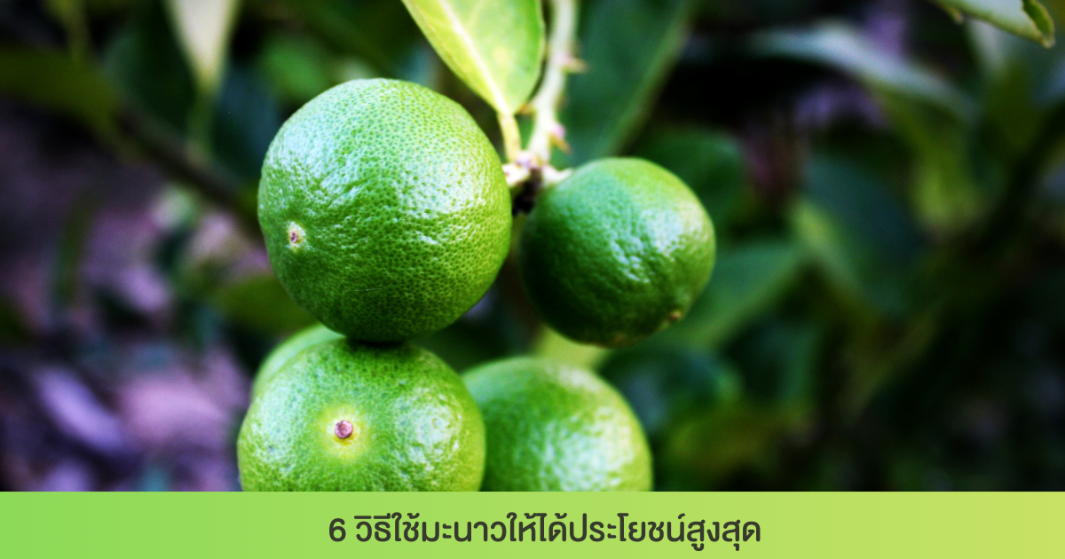 6 วิธีใช้มะนาวให้ได้ประโยชน์สูงสุด